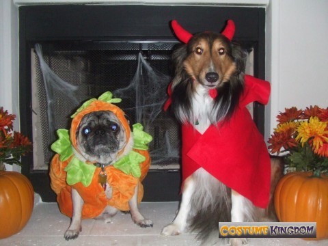 Pumpkin and Devil