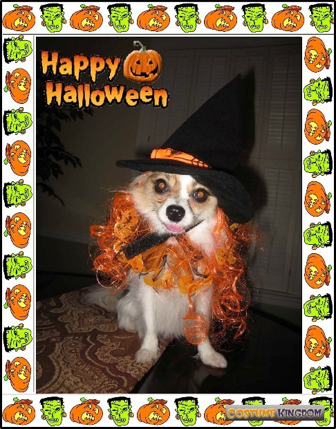Sophia as the Pumpkin Witch