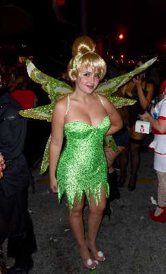 Sexy Tinkerbell Adult Costume