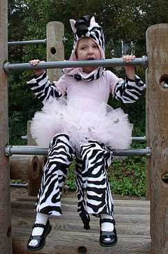 Zebra Ballerina
